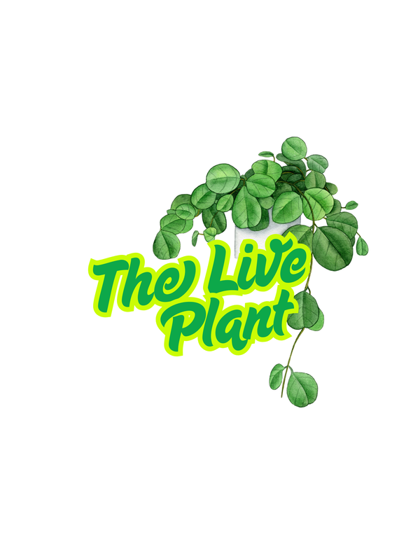 The Live Plant